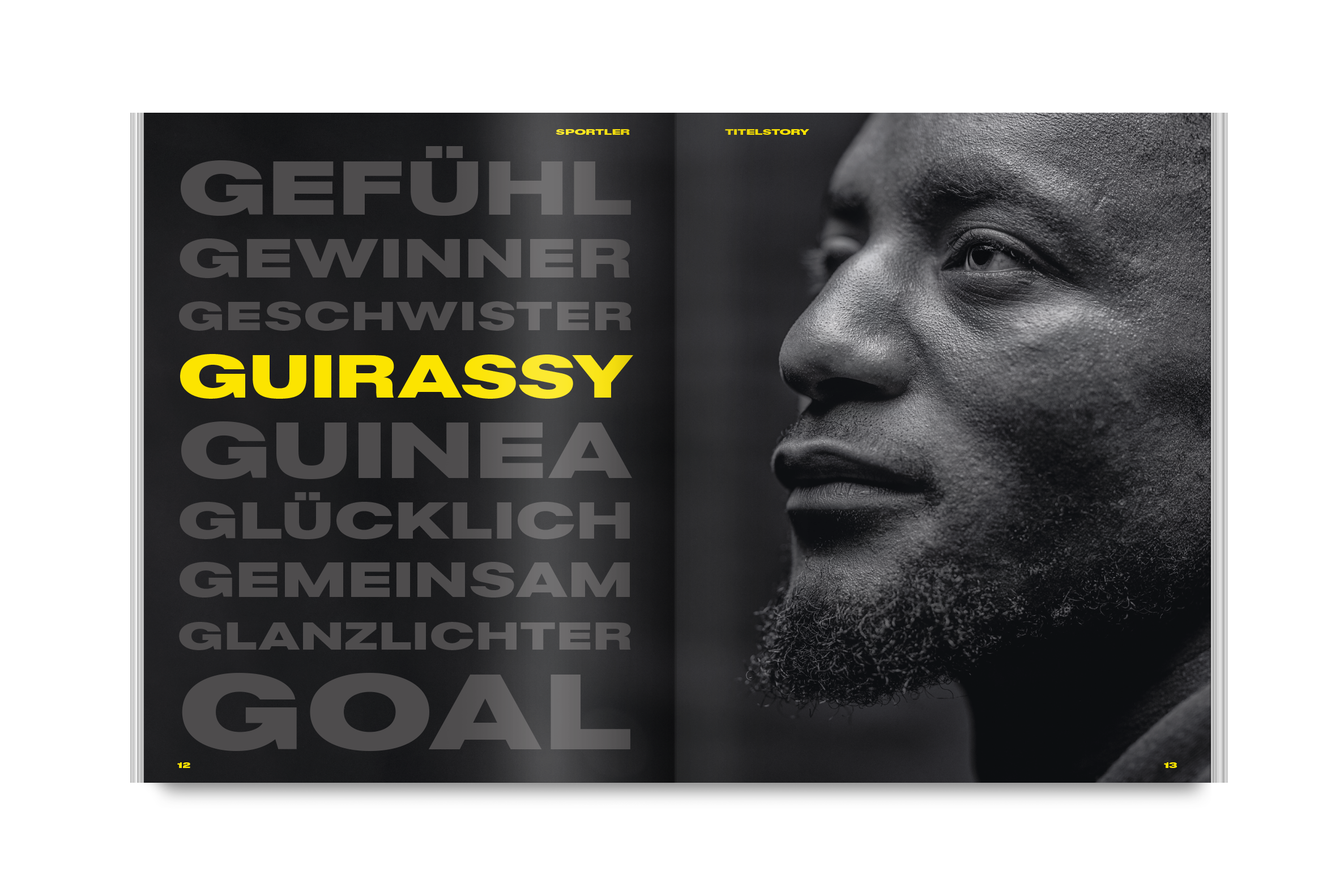 25 bvb guirassy 1
