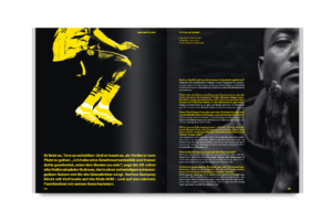 25 bvb guirassy 2