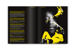 25 bvb guirassy 5