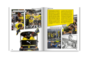 bvb mock up magazin manga 3