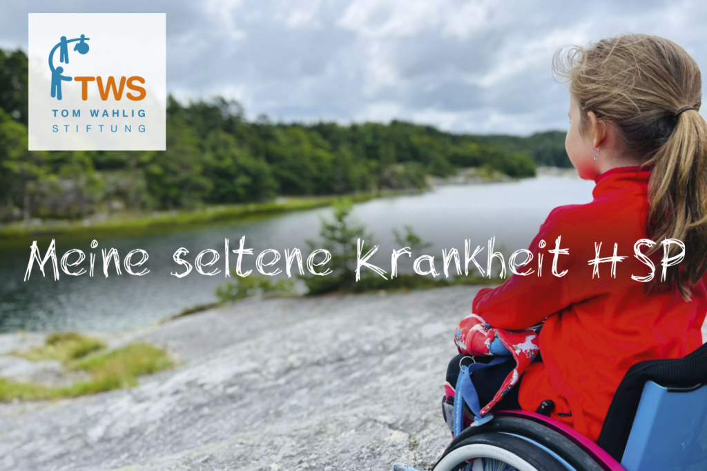 23 k werk tom wahlig stiftung 1