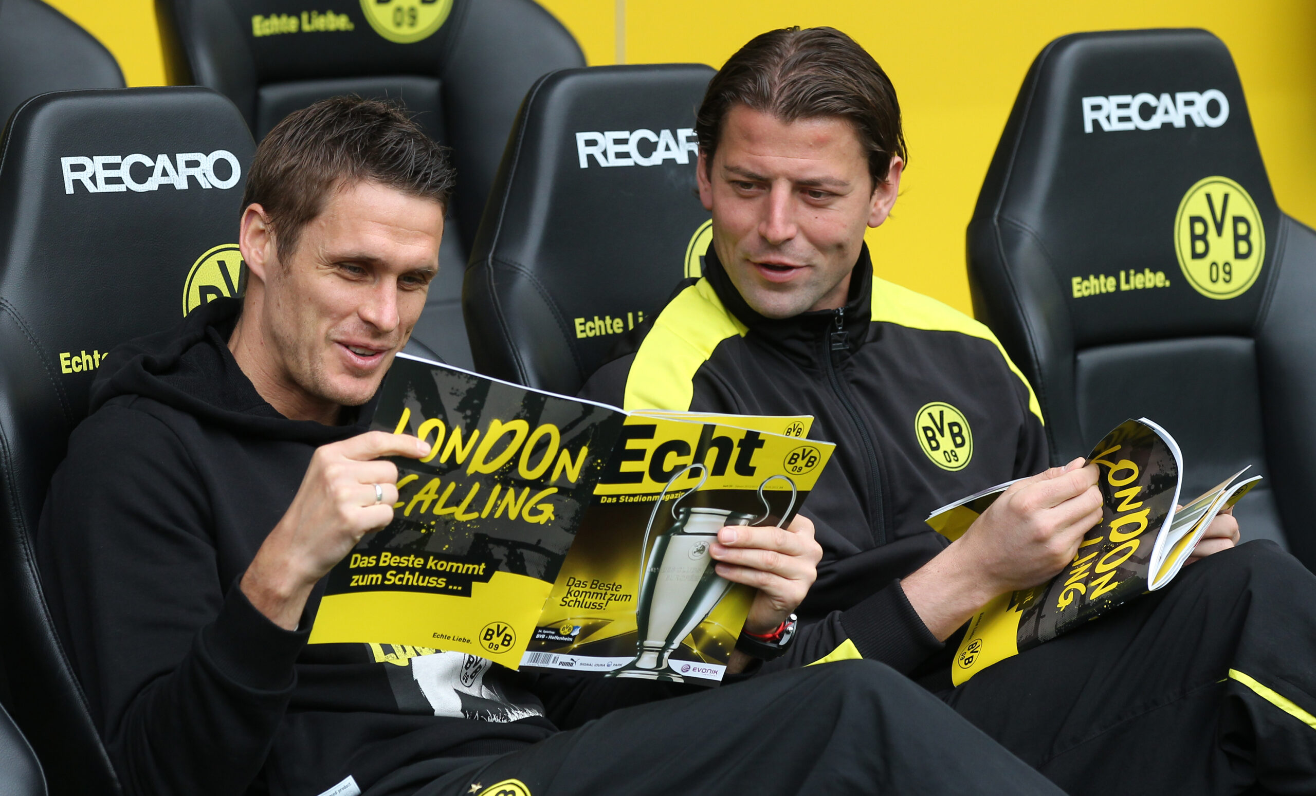 bvb hoffenheim