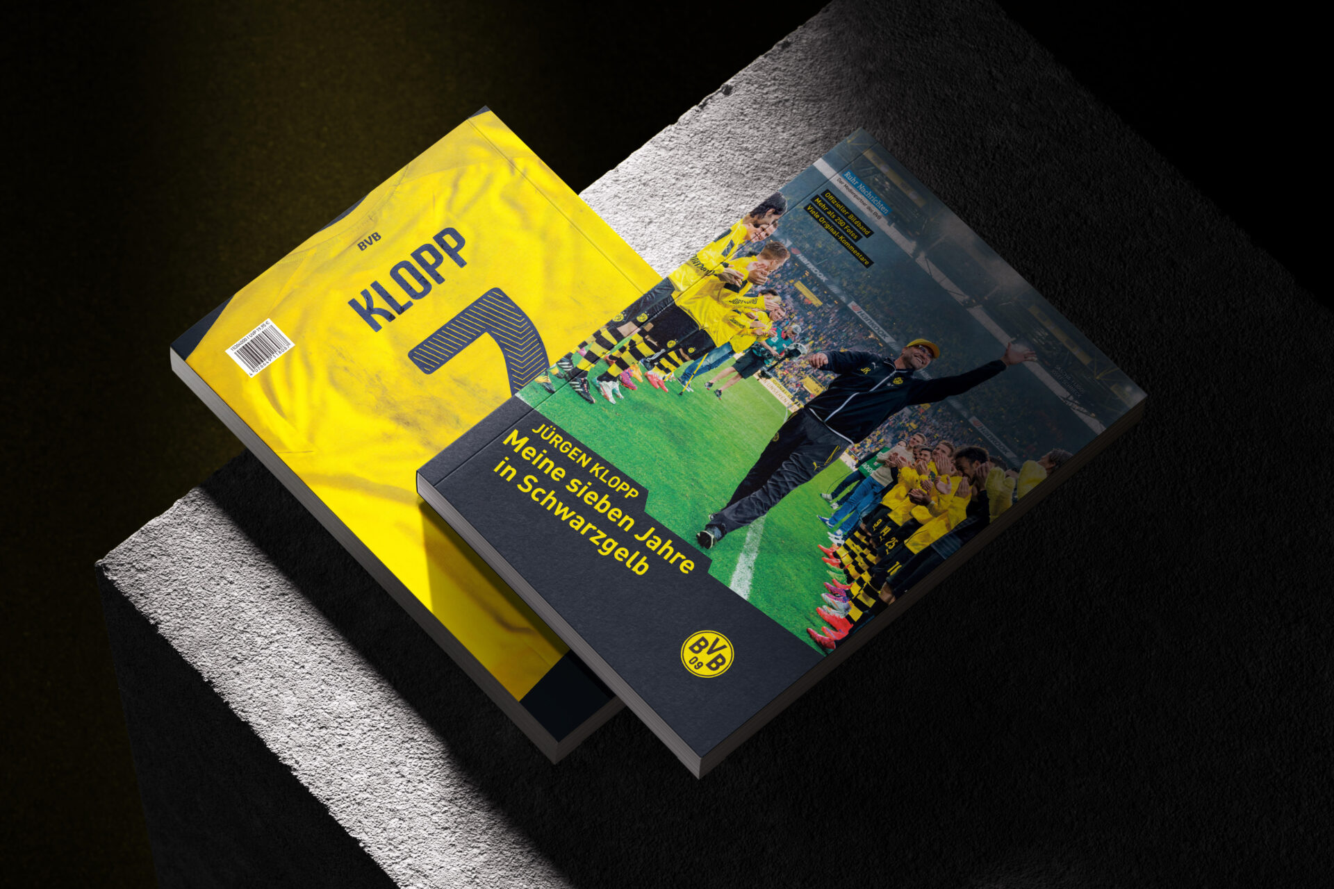 15 k werk bvb juergen klopp buch 01b