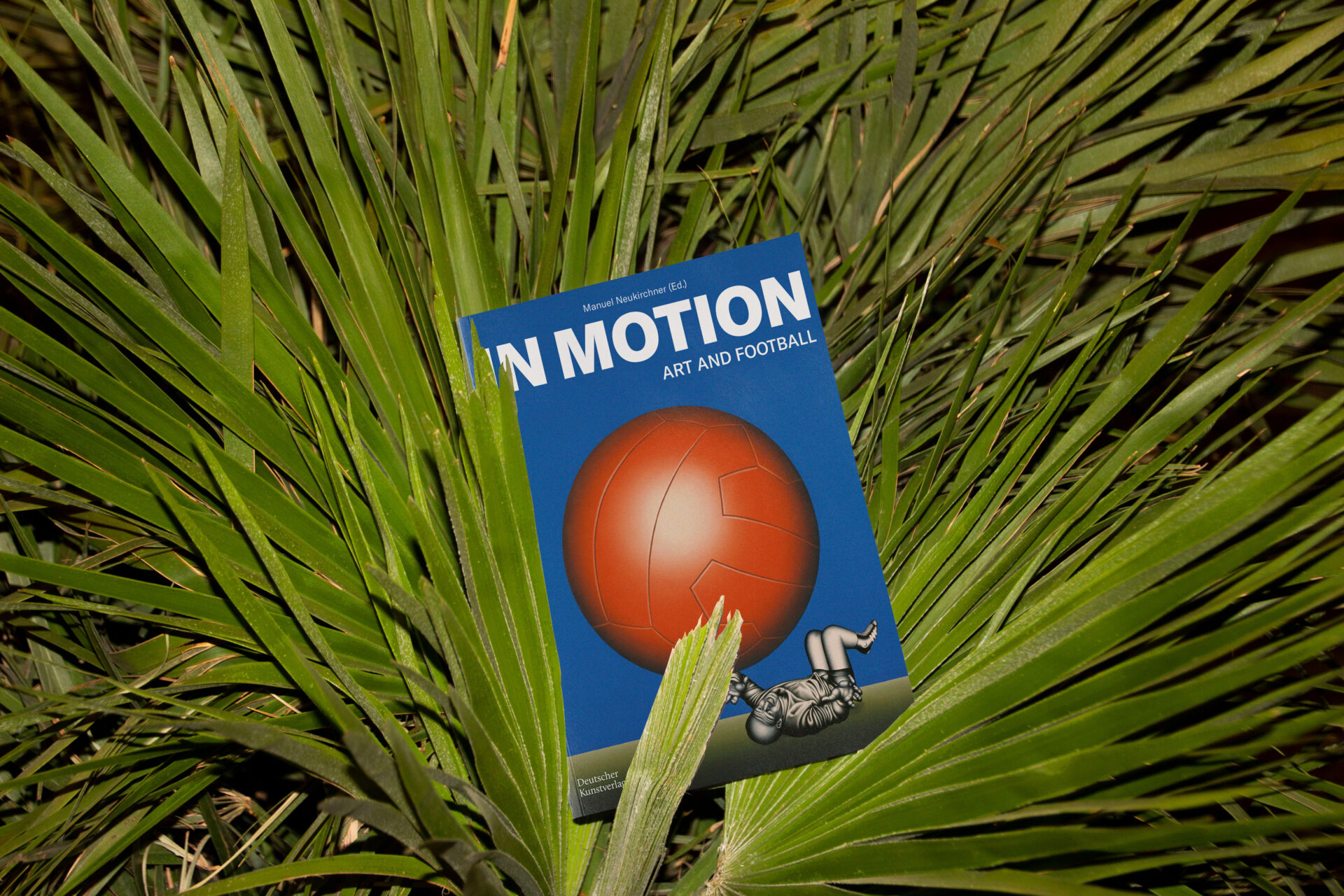 24 k werk dfm katalog in motion 10